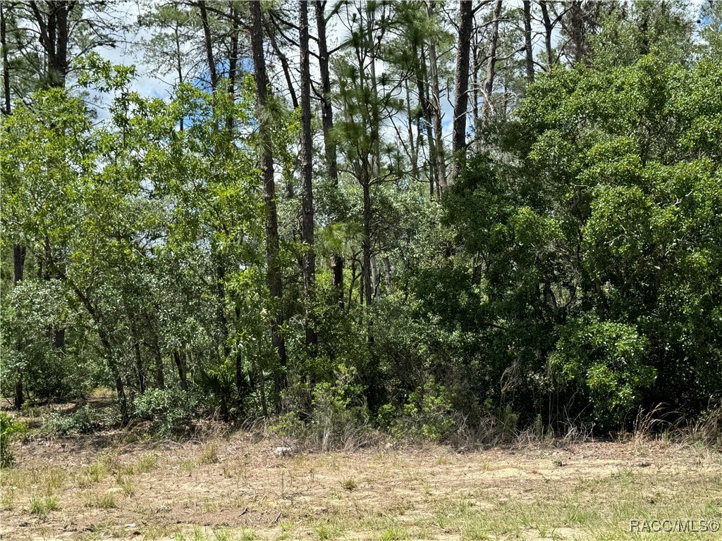 Property Photo: 8959 N Farrington Drive FL 34433