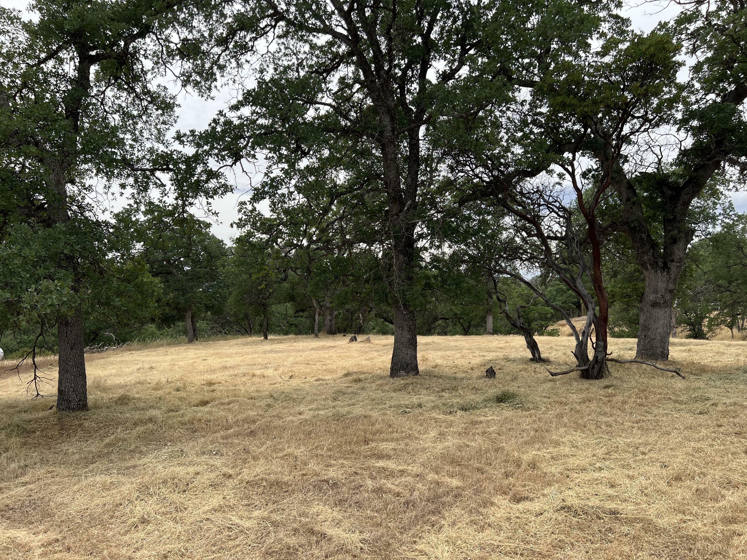 Property Photo: 19870 Moose Way CA 96022
