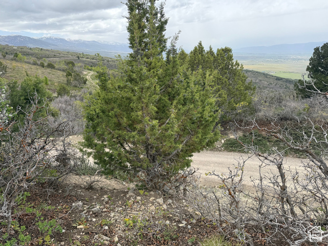Property Photo: 472 N Shortcreek Dr 472 UT 84647