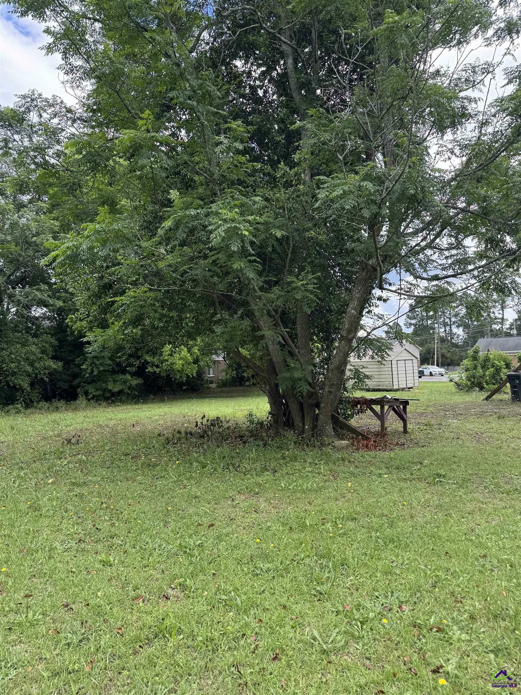 Property Photo: 108 Vienna Street GA 31030
