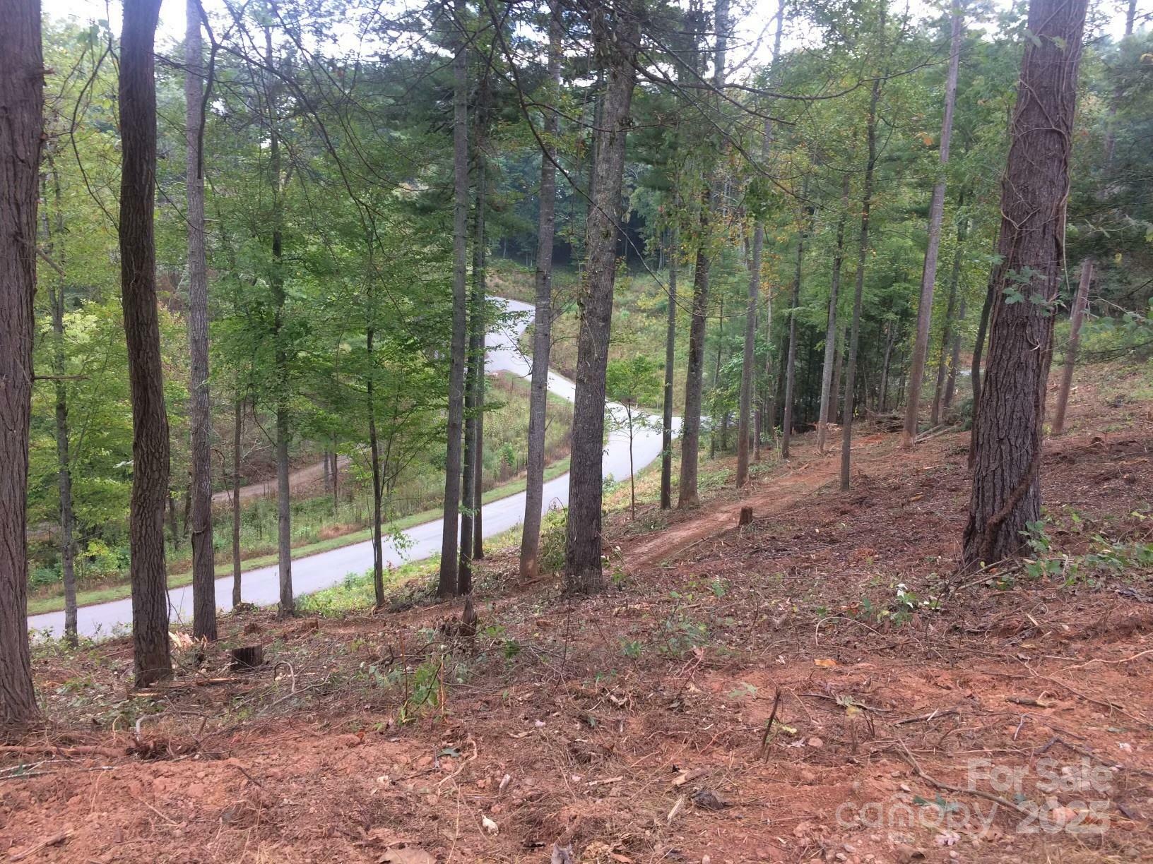 Property Photo: 31 Timber Hill Drive 19 NC 28748