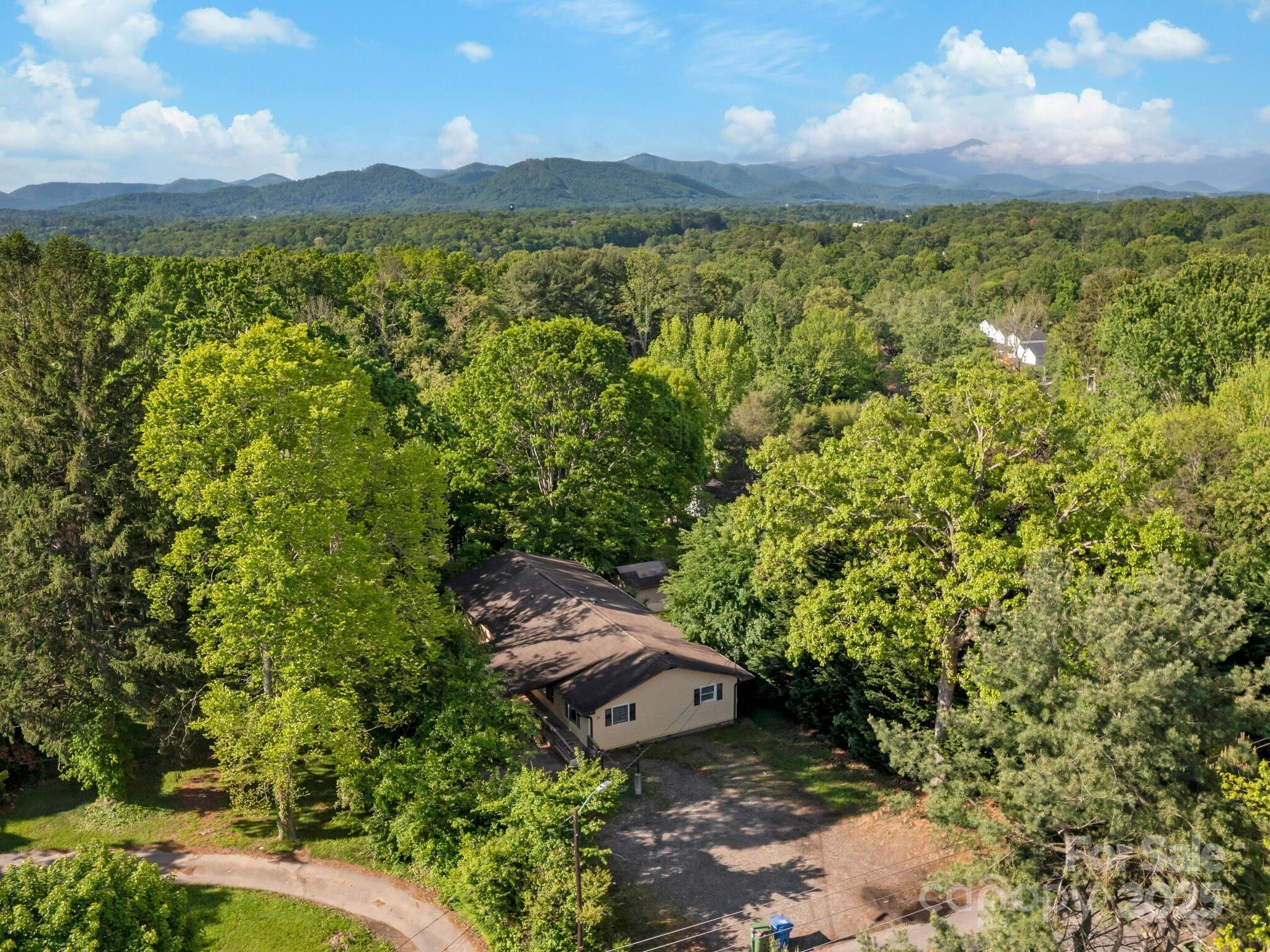 Property Photo: 290 Deaverview Road NC 28806