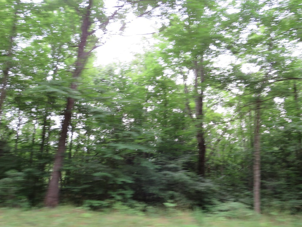 Property Photo:  00 Ky Rt 1624  KY 41219 