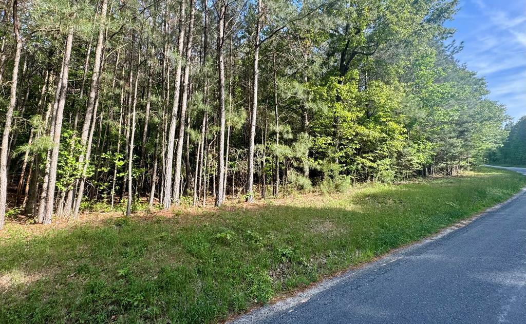 Property Photo: Lot C Seaside Rd VA 23420
