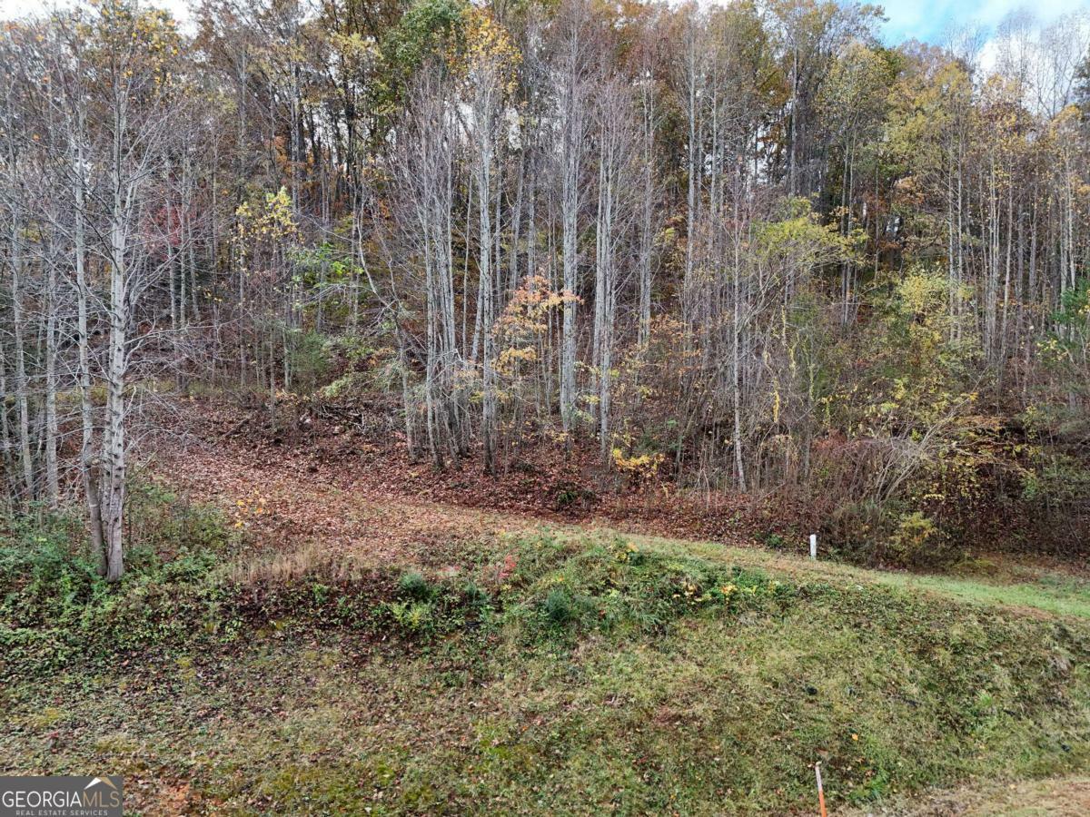 Property Photo: 1.6 Ac Highway 76 GA 30546
