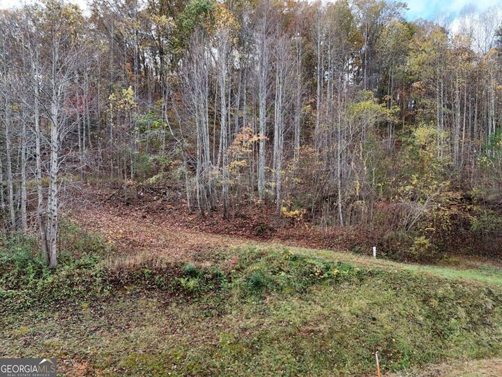 Property Photo: 1.6 Ac Highway 76 GA 30546