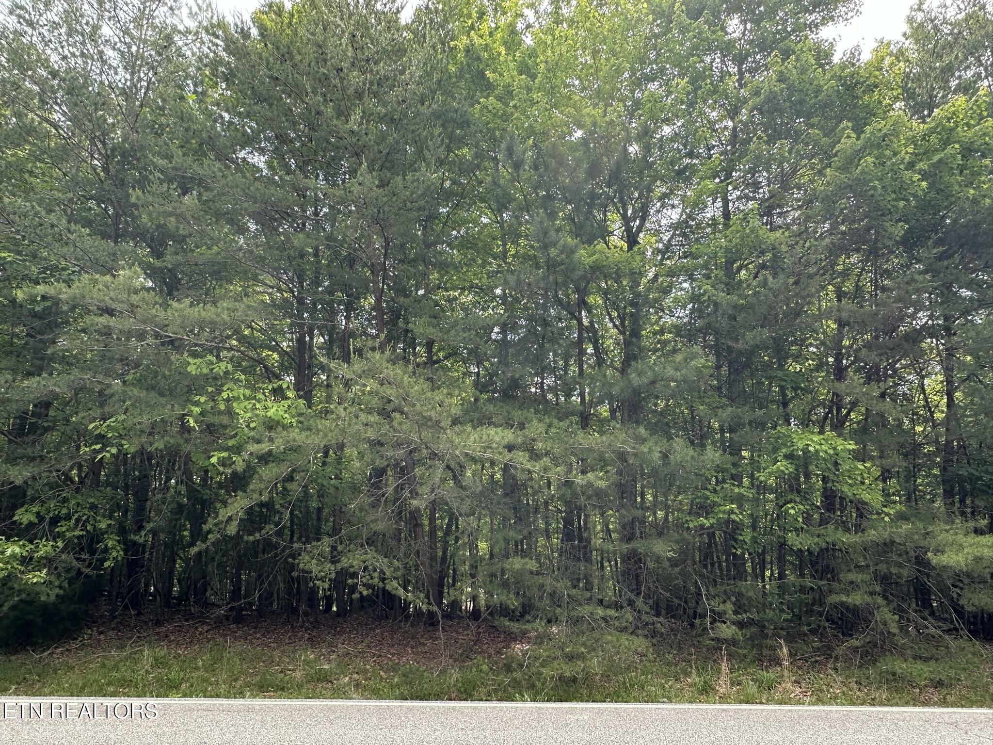 Property Photo: 257 Forest Hill Drive TN 38558