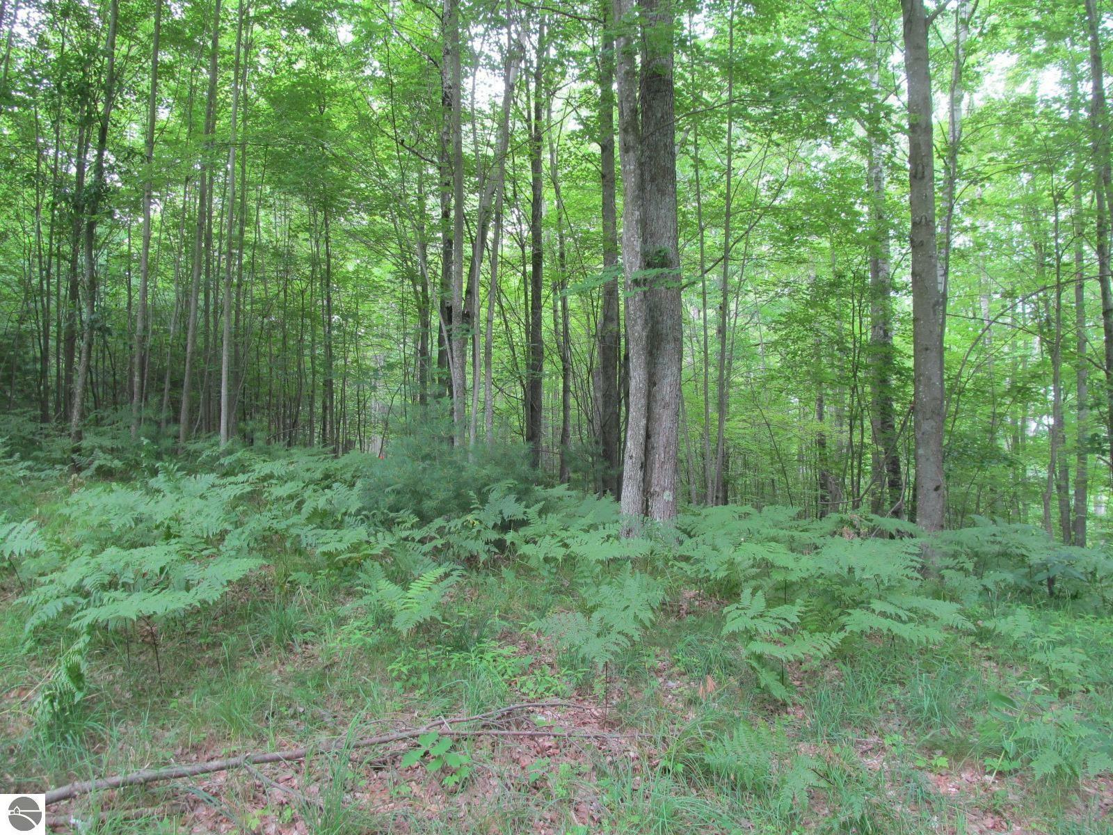 Property Photo: 00 S 47 3/4 Road Forest Dr. MI 49601