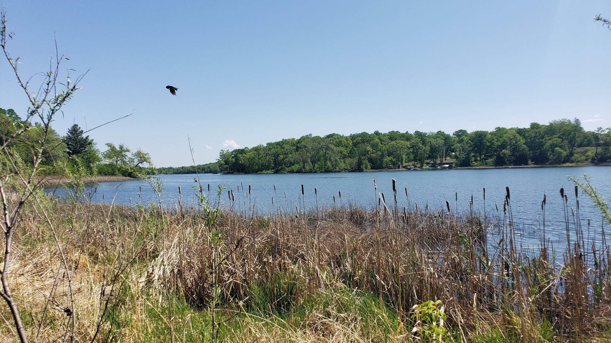 Property Photo: 34343 Twin Island Drive MN 56528