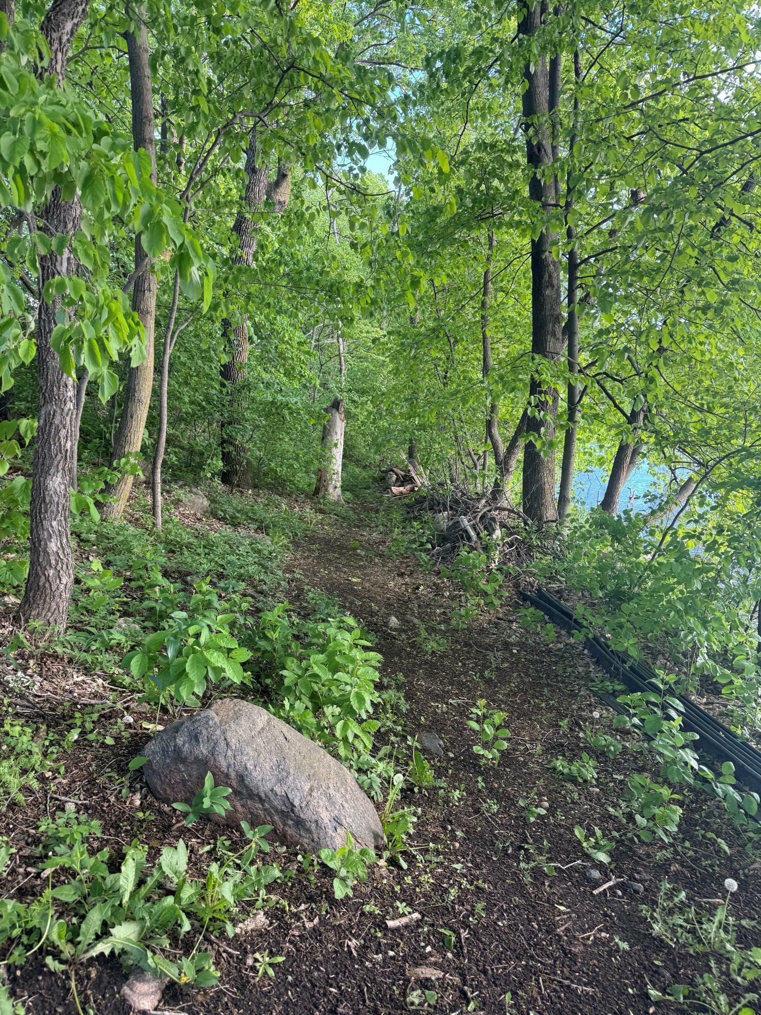 Property Photo: Lot 2 Block 1 746th Avenue SW MN 55325