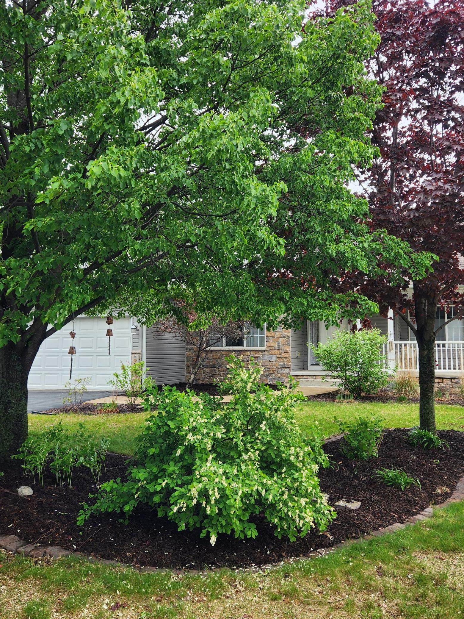Property Photo: 5901 106th Avenue N MN 55443
