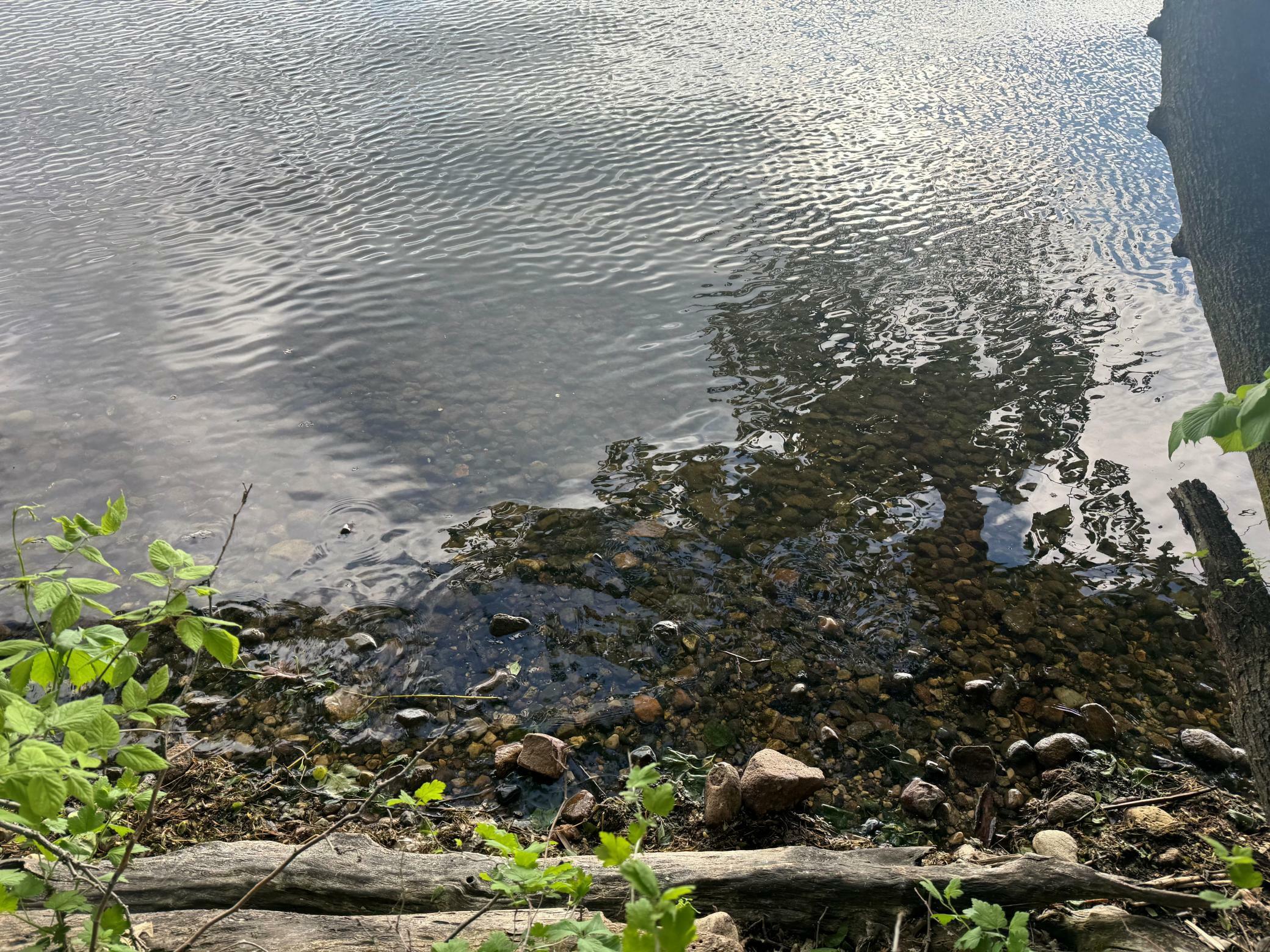 Property Photo: Lot 1 Block 1 746th Avenue MN 55325