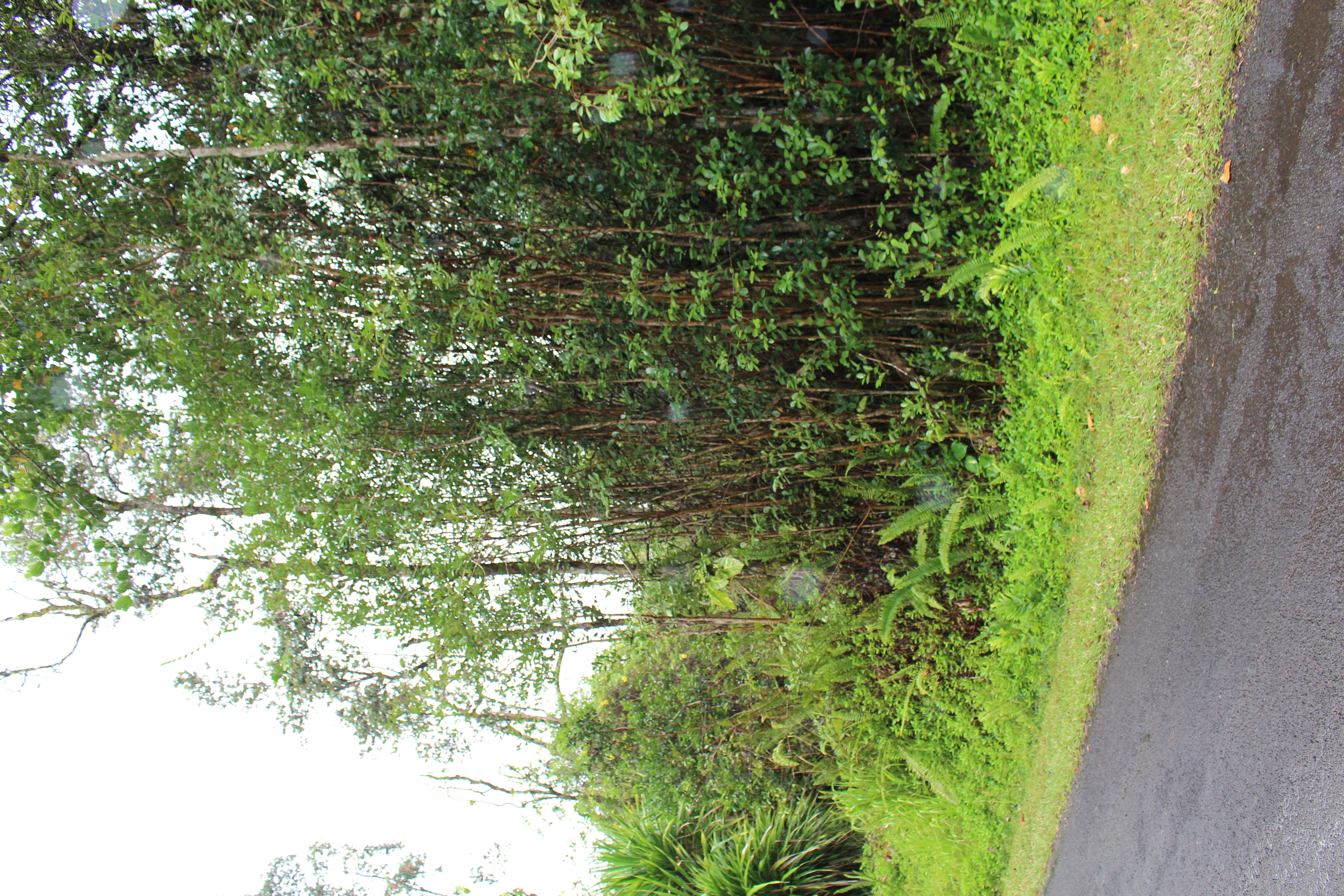 Property Photo: 23rd Ave HI 96749