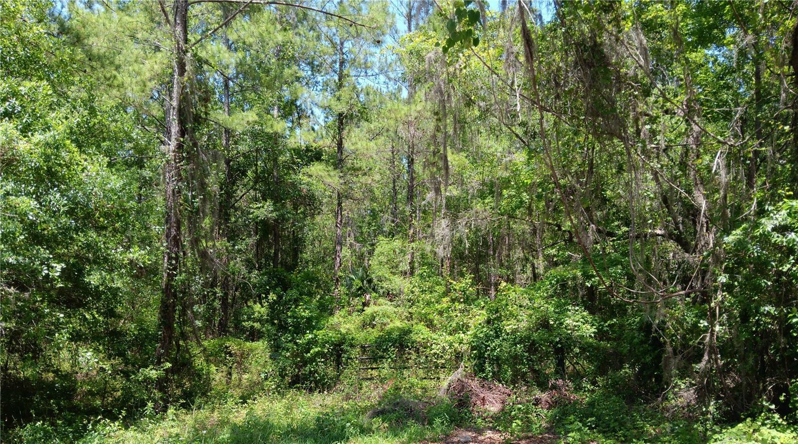 Property Photo:  00 NW 82 Court  FL 34482 