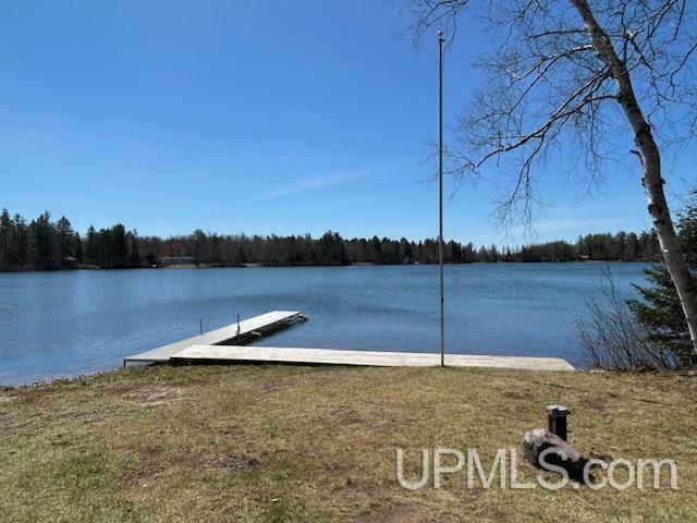 Property Photo: 1993 Co Rd 456 MI 49841