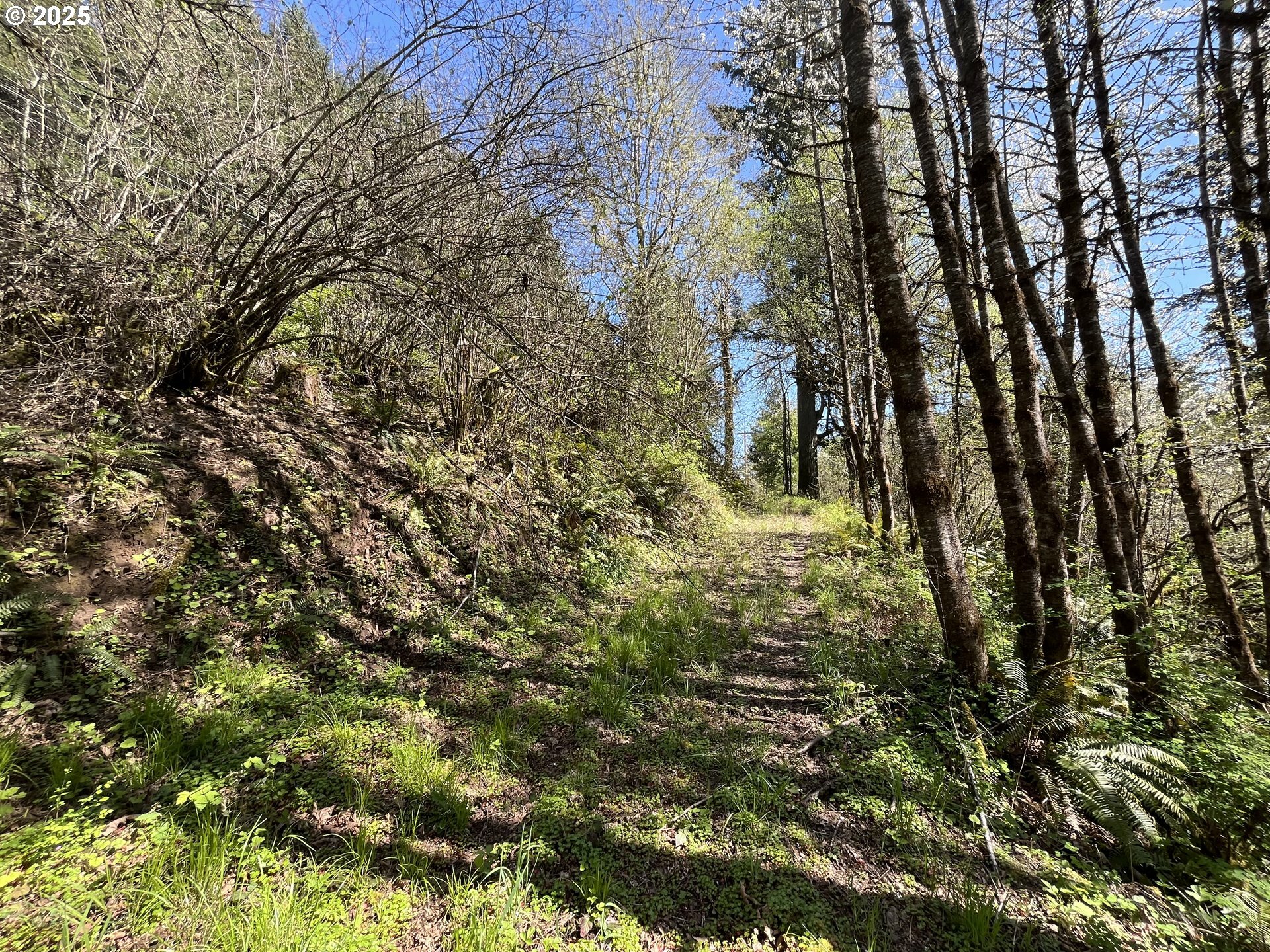 Property Photo: Ns OR 97116