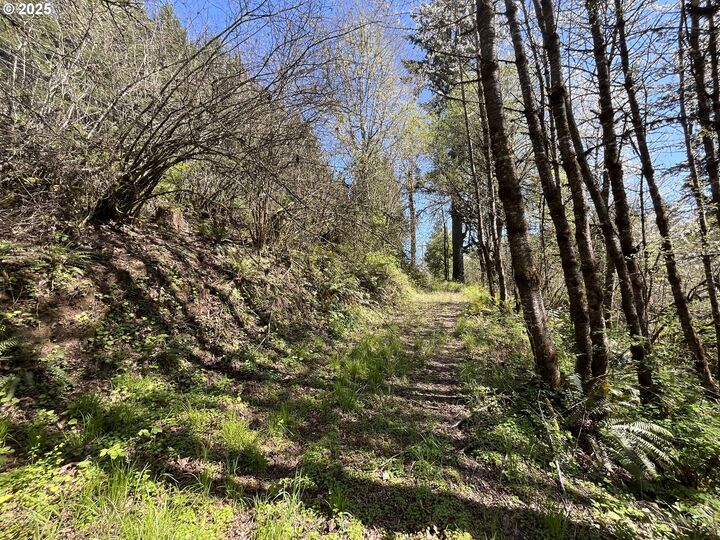 Property Photo:  David Hill Rd  OR 97116 