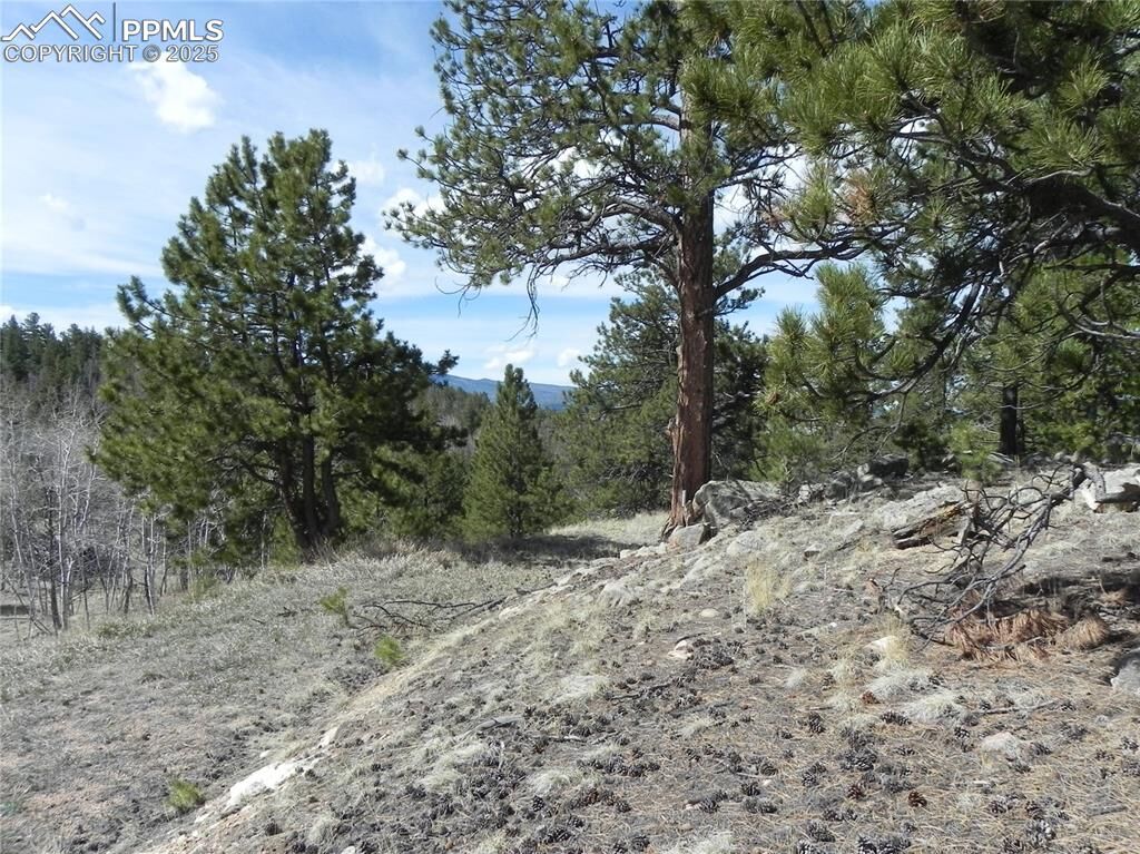 Property Photo:  160 Broken Arrow Path  CO 80827 