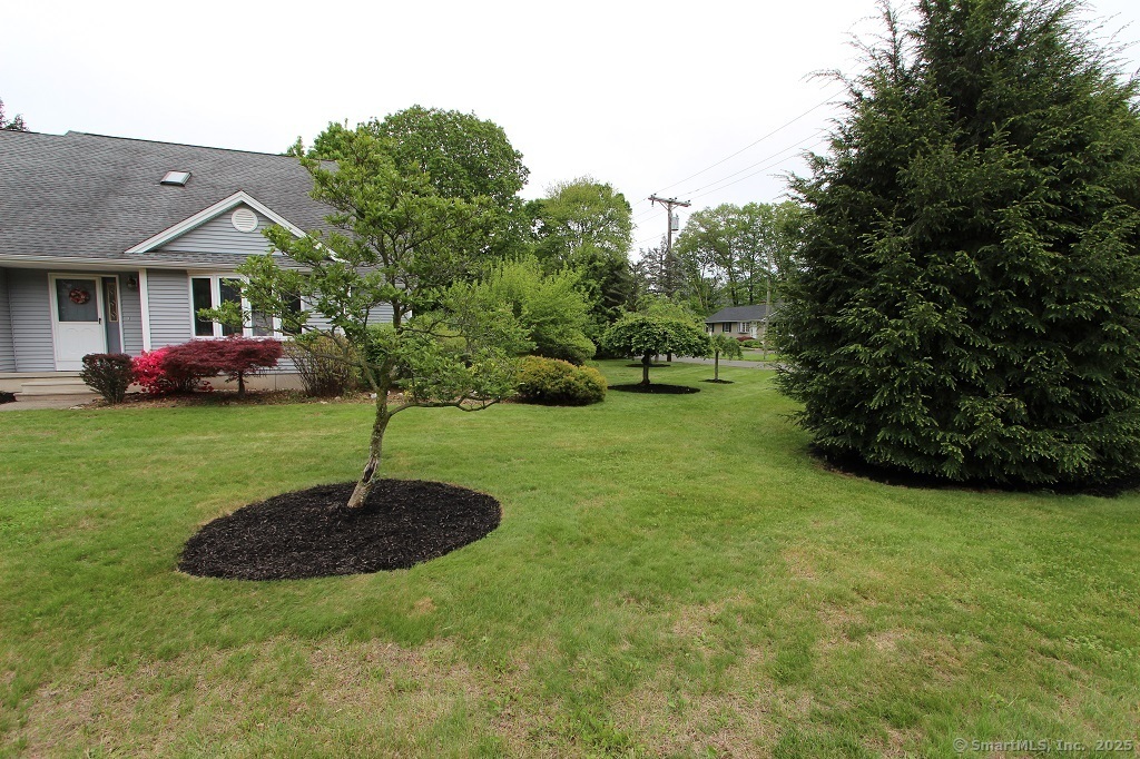 Property Photo:  55 Wonx Spring Road  CT 06479 