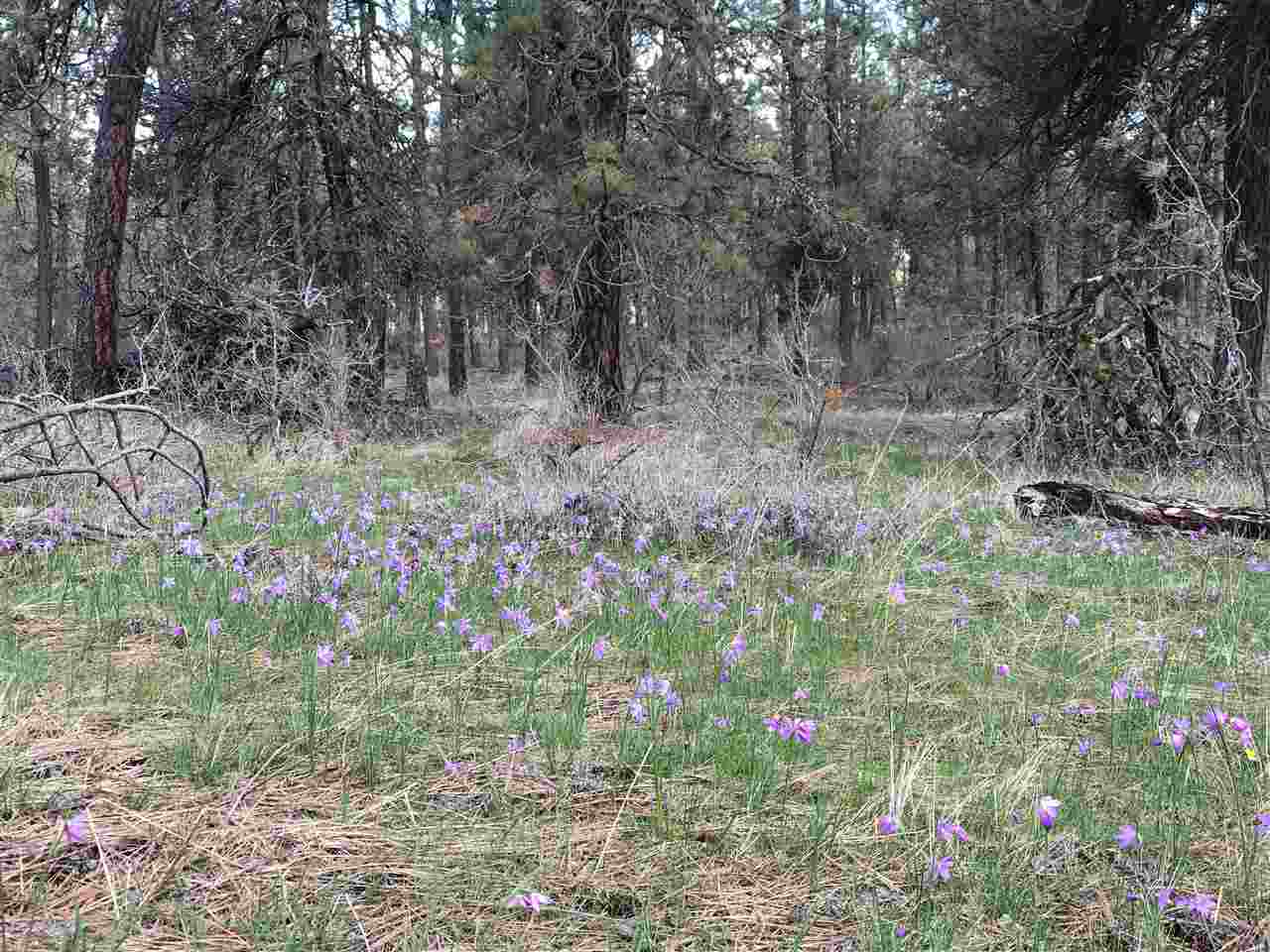 Property Photo: 00 W 53rd Ave WA 99224