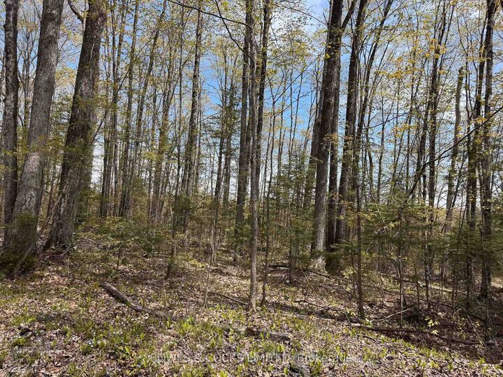 Property Photo: 24 Gilmour Lane ON K0L 1A0