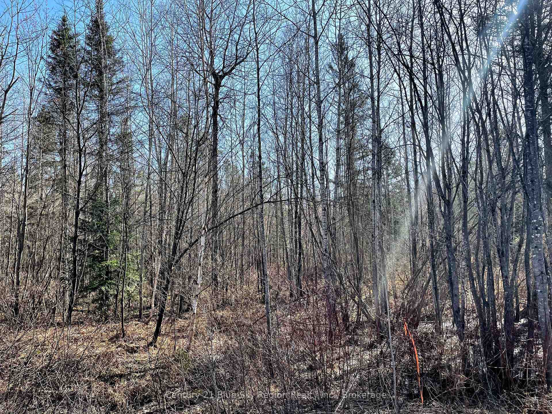 Photo de la propriété:  Part 2 Bourbonnais Road  ON P0H 1M0 