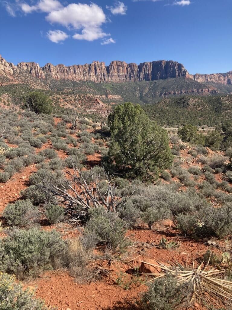Property Photo:  1 Acre Eagle Crags Rd  UT 84763 