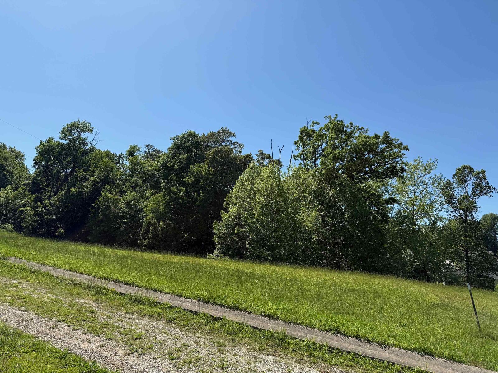 Property Photo:  Lot #16 Meadow Glen Road  KY 41139 