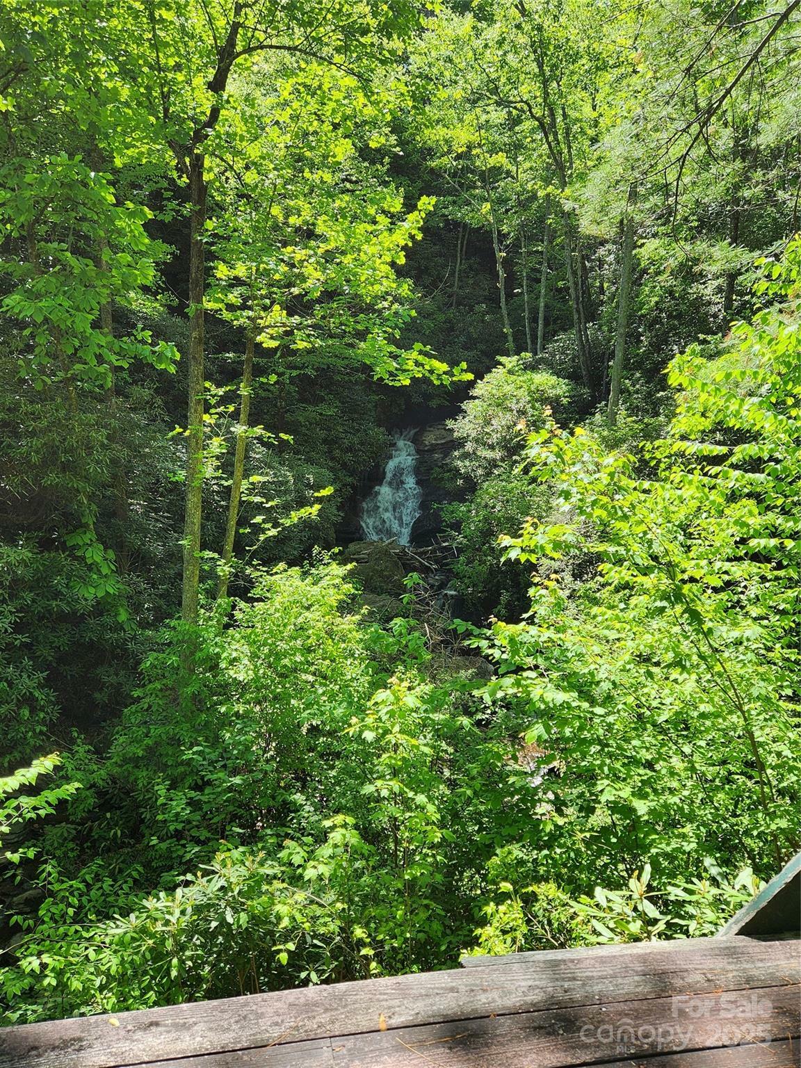 Property Photo: 449 Boone Top None NC 28790