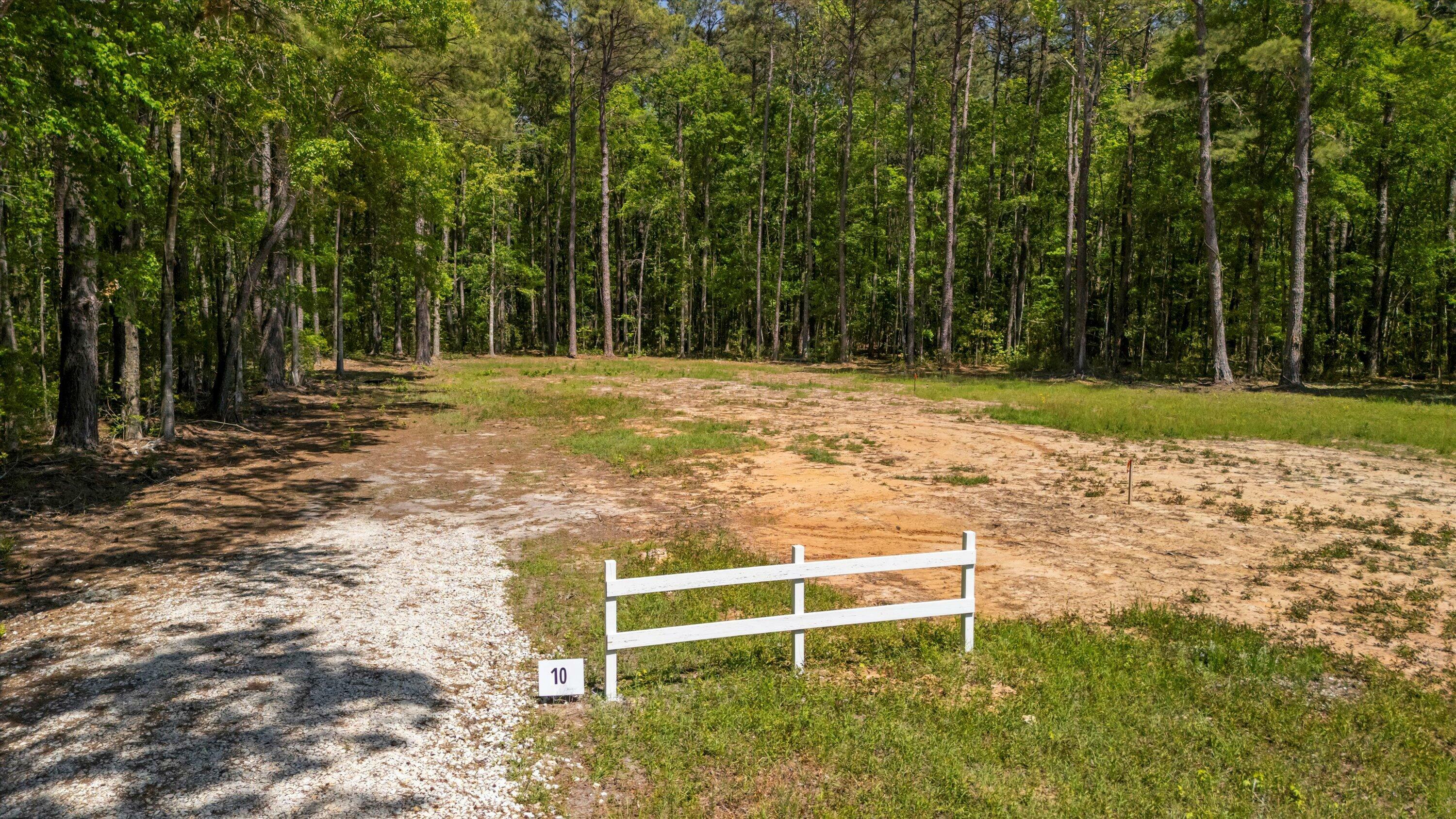 Property Photo:  384 Fish Road Estates Lane  SC 29472 