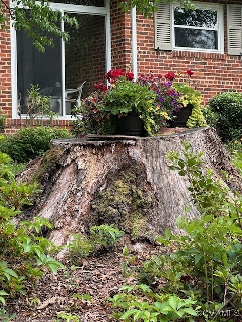 Property Photo: 7401 Biscayne Road VA 23294