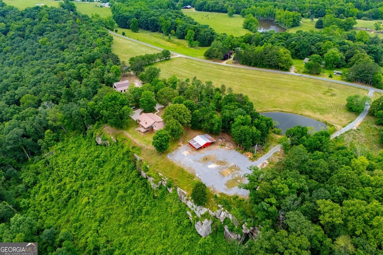 Property Photo: 487 County Road 463 AL 35968