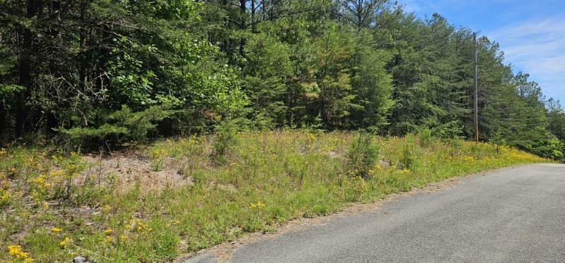 Property Photo: 0 Sunset Rd TN 38585
