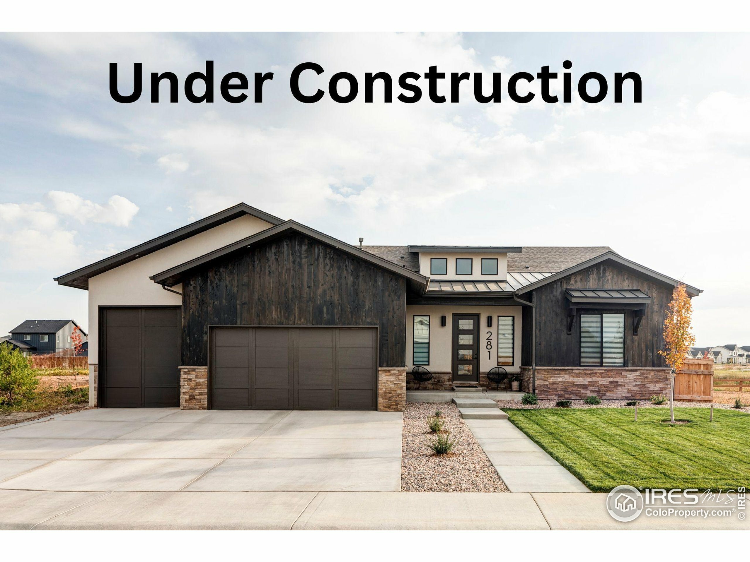 124 Boxwood Dr  Windsor CO 80550 photo