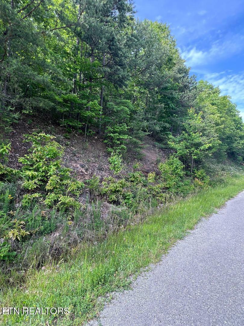 Property Photo: Lt 225 Clinch View Rd TN 37825