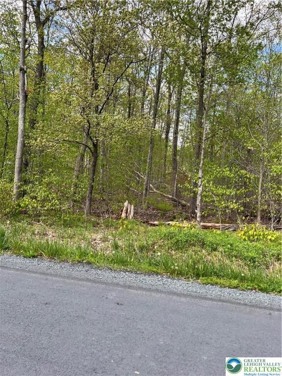 Property Photo: Outer Drive 18 PA 18347