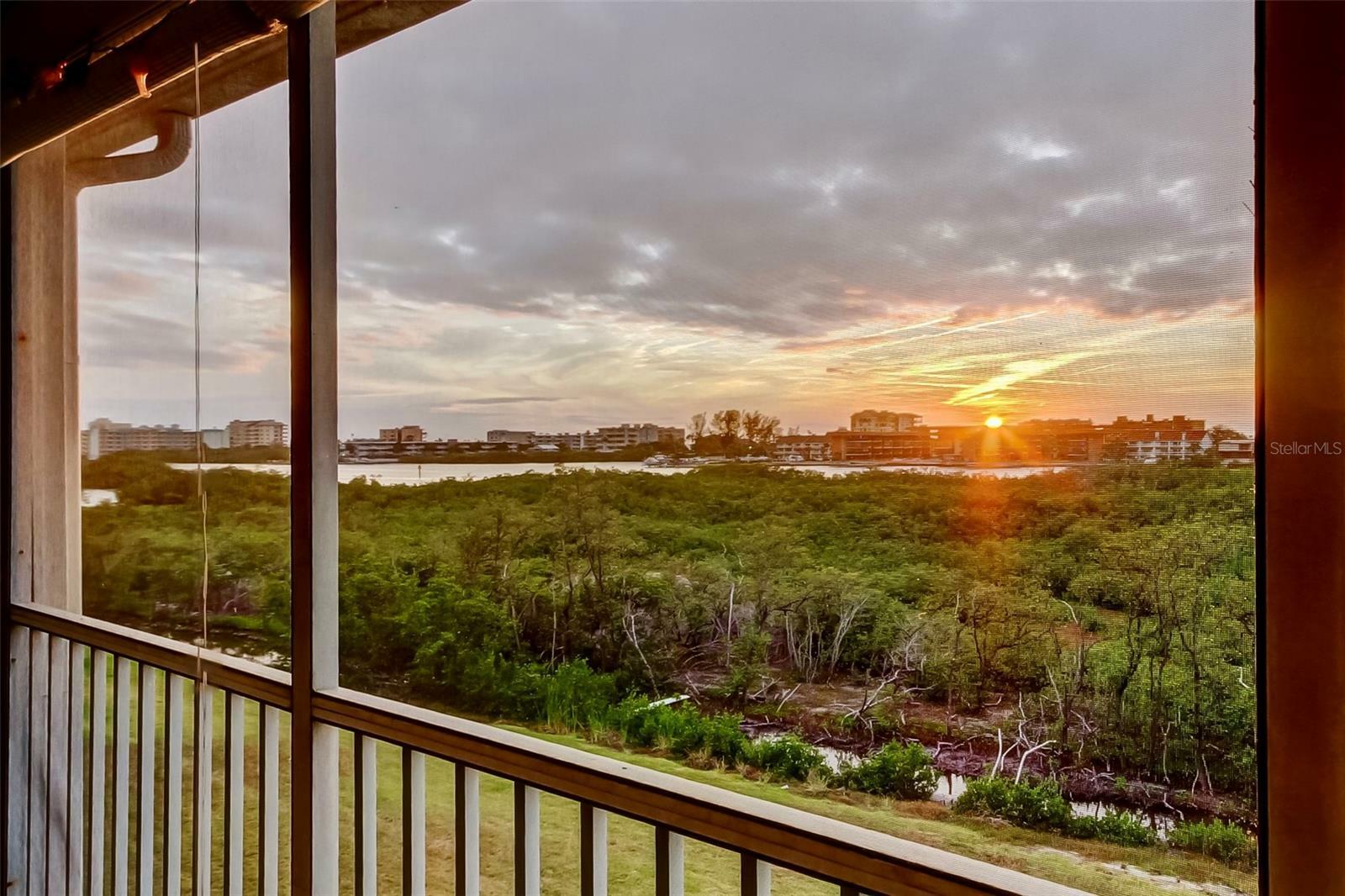 Property Photo: 9484 Tara Cay Court 8 FL 33776