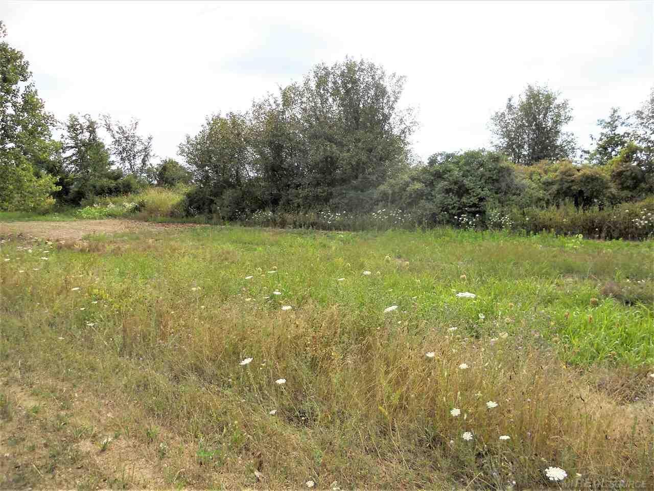 Property Photo:  0 Windmill Lane  MI 48444 