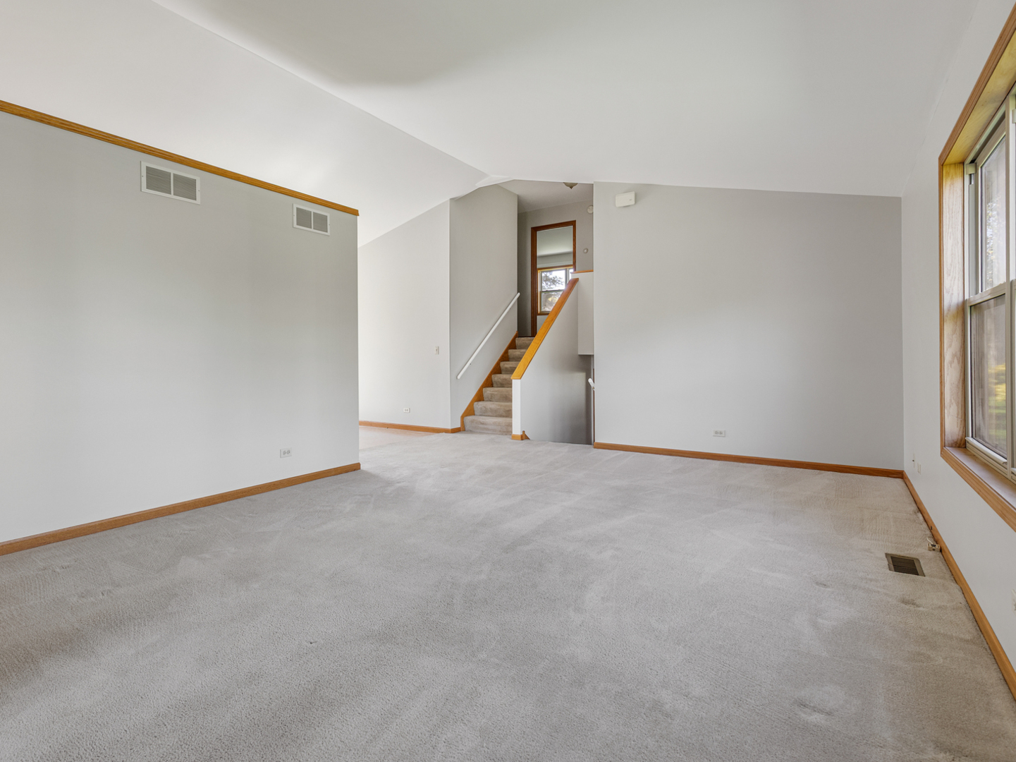 Property Photo: 421 Meadow Avenue IL 60098