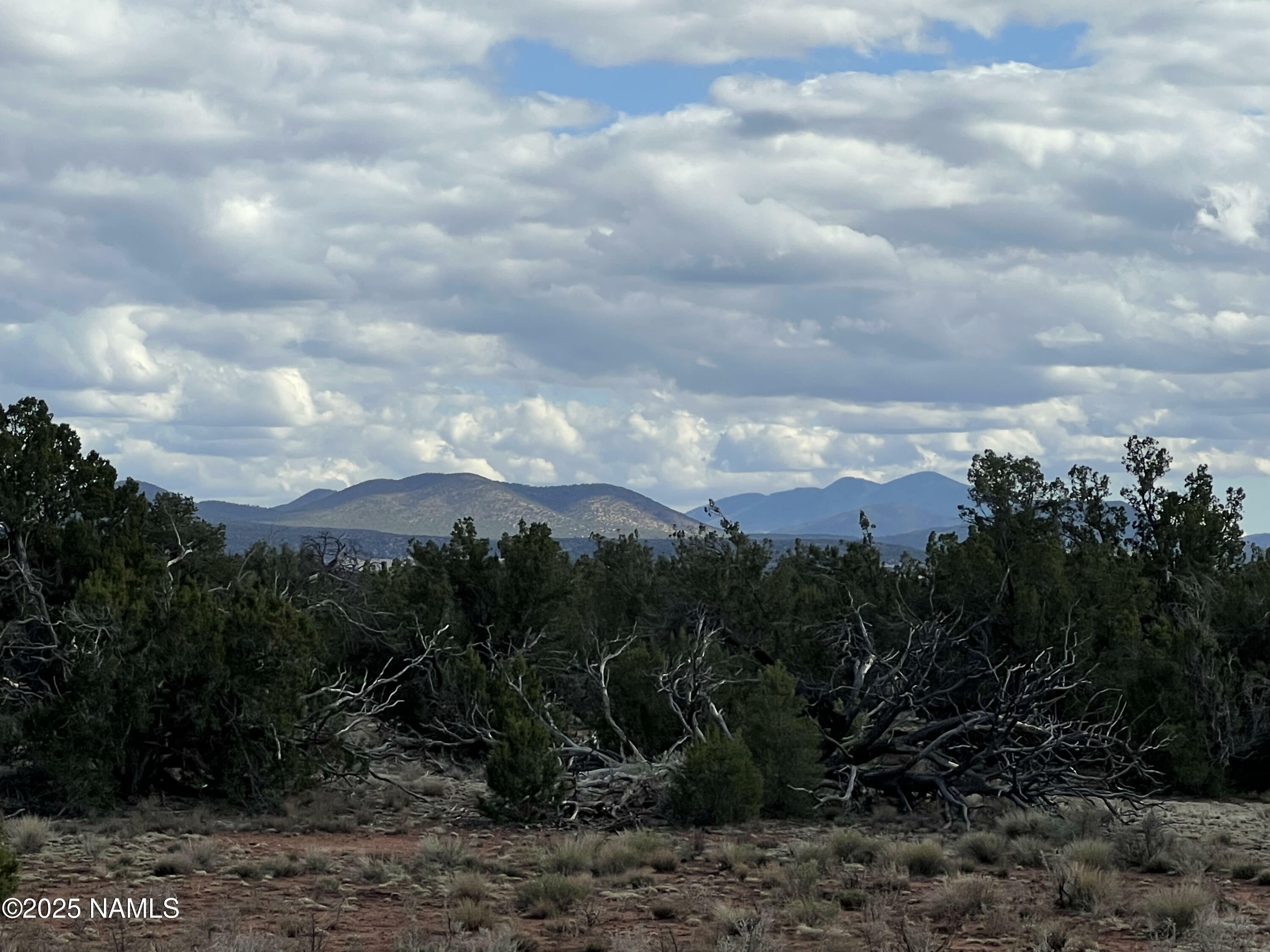 Property Photo:  8394 Bird Dog Circle  AZ 86046 