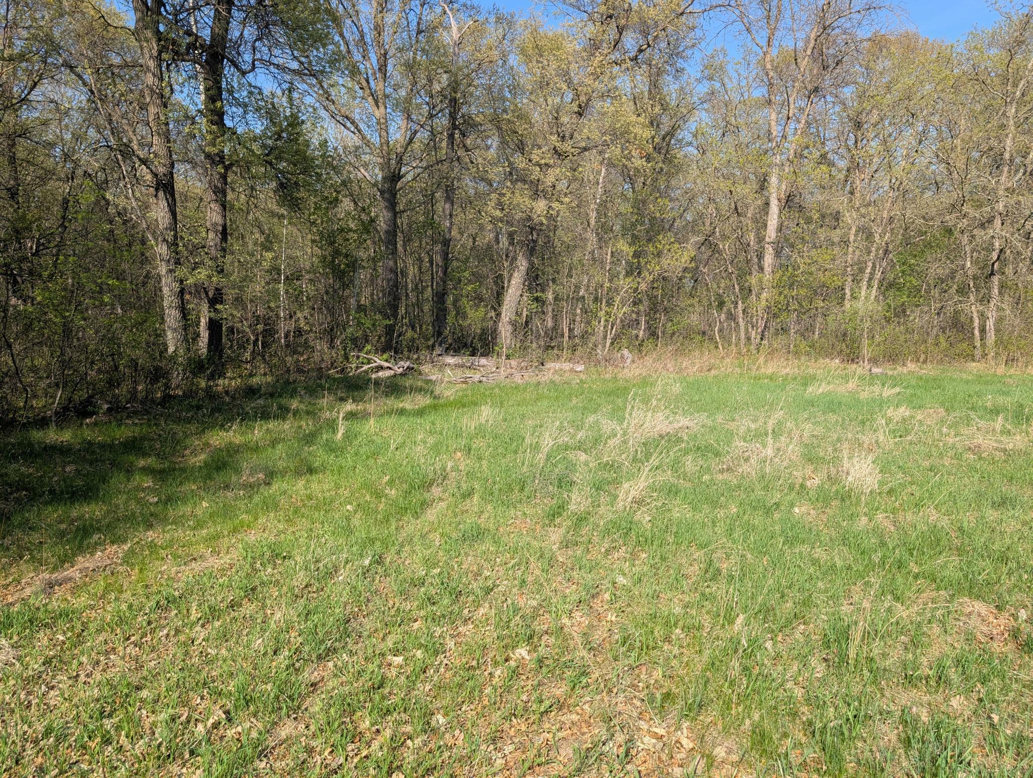 Property Photo: Tbdx Arbor Lane SW MN 56473