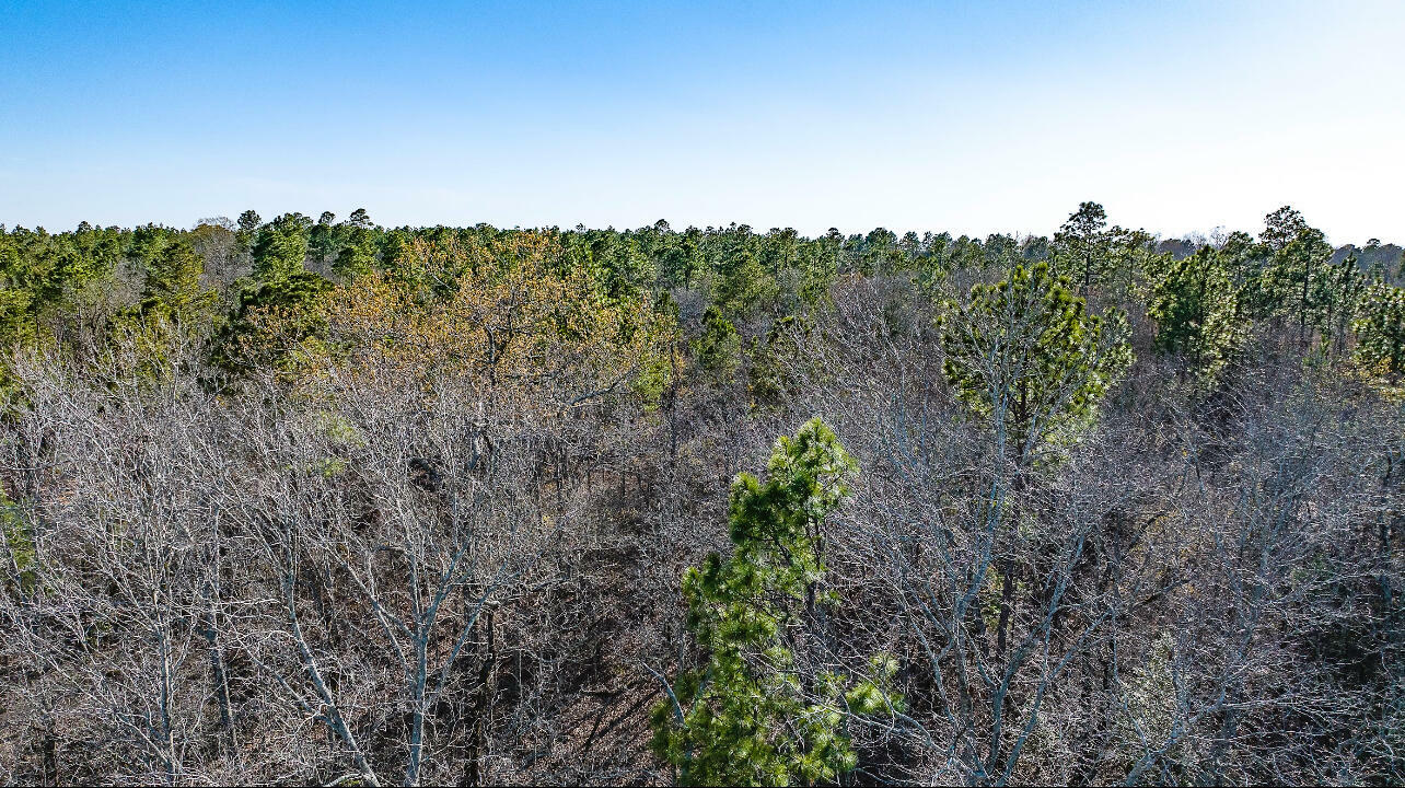 Property Photo: Lot 14 Bluffwood Road SC 29164