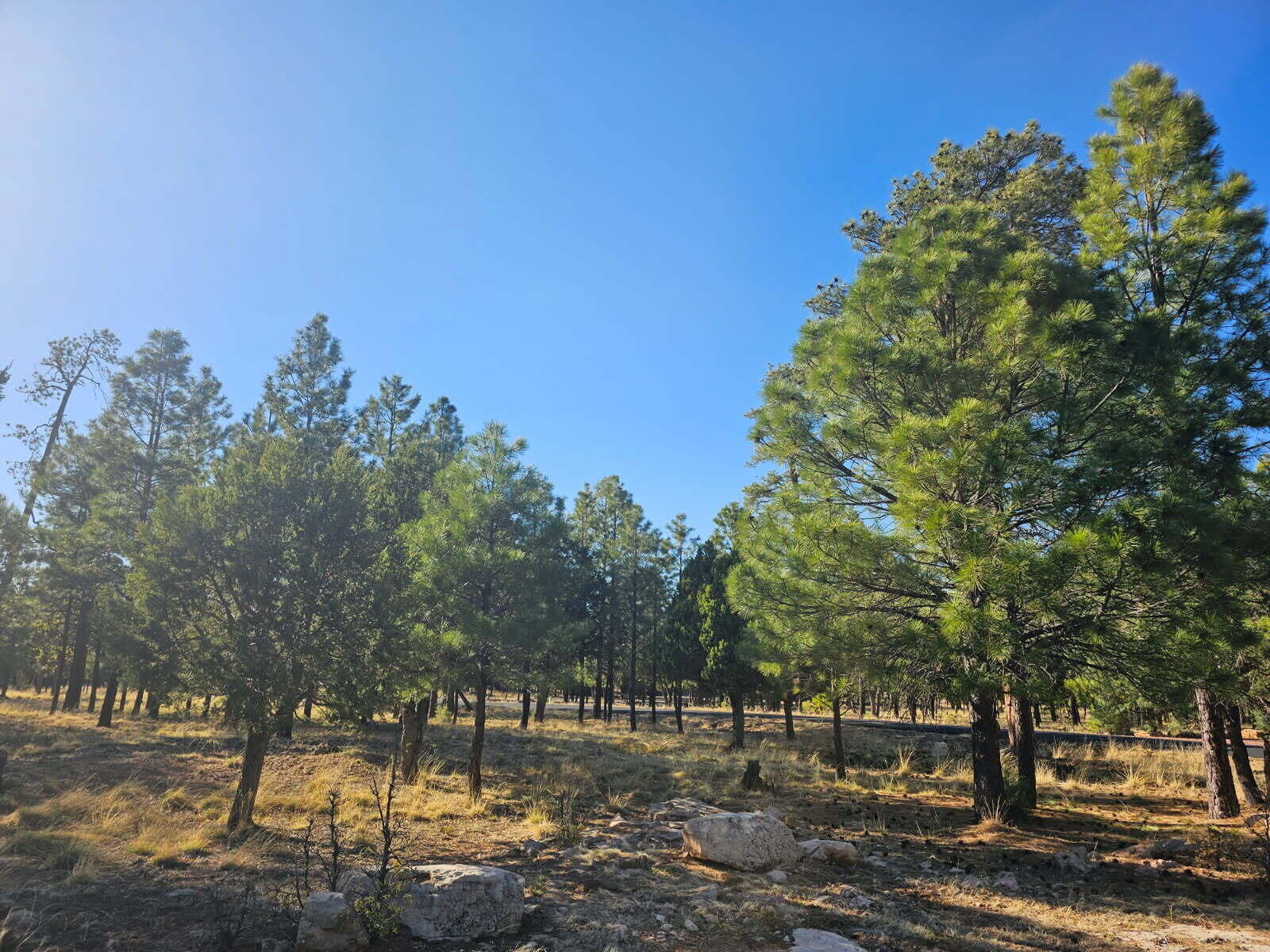 Property Photo: 1608 Woodside Place AZ 86024