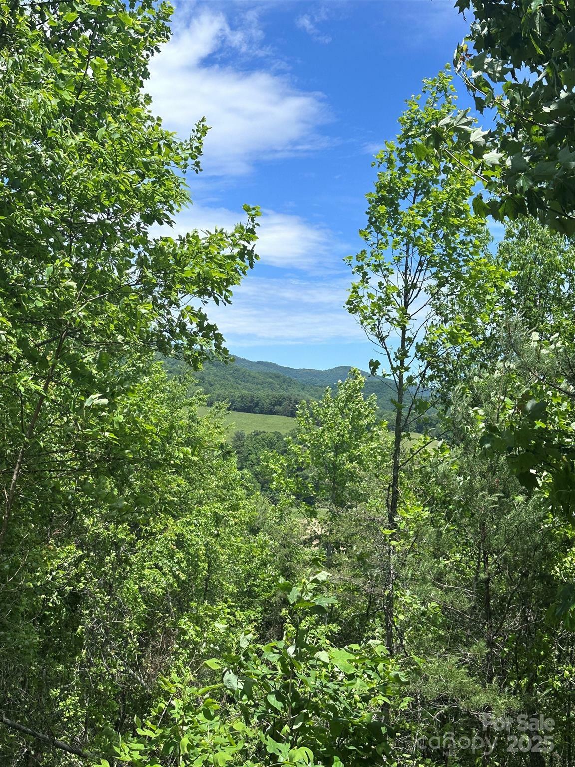 Property Photo: 99999 Hendl Way NC 28748