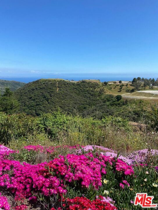 23208 W Paloma Blanca Dr  Malibu CA 90265 photo