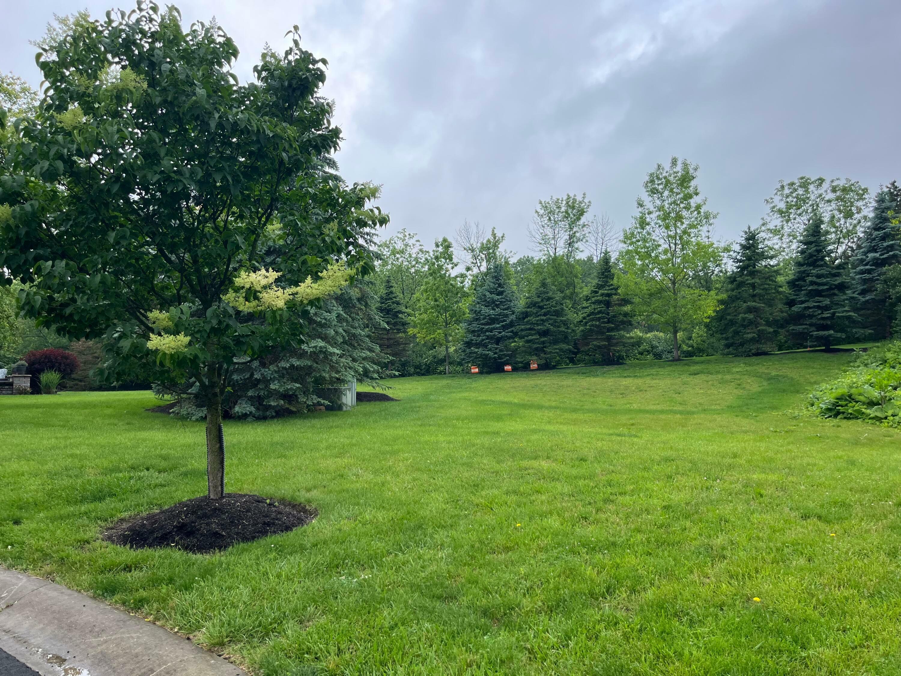Property Photo: 2600 Scioto Pointe Lane OH 43221