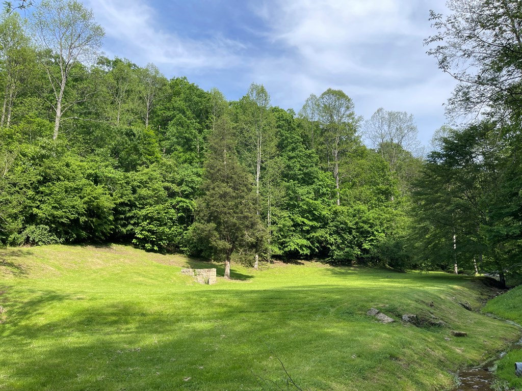 Property Photo:  317 Turkey Crum Branch  KY 41224 