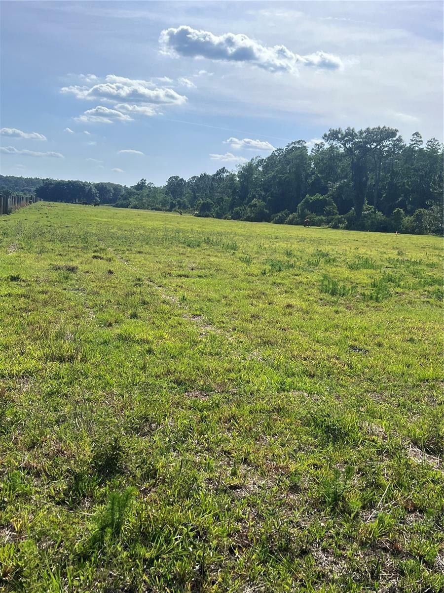Property Photo: Old Grade Road FL 33868