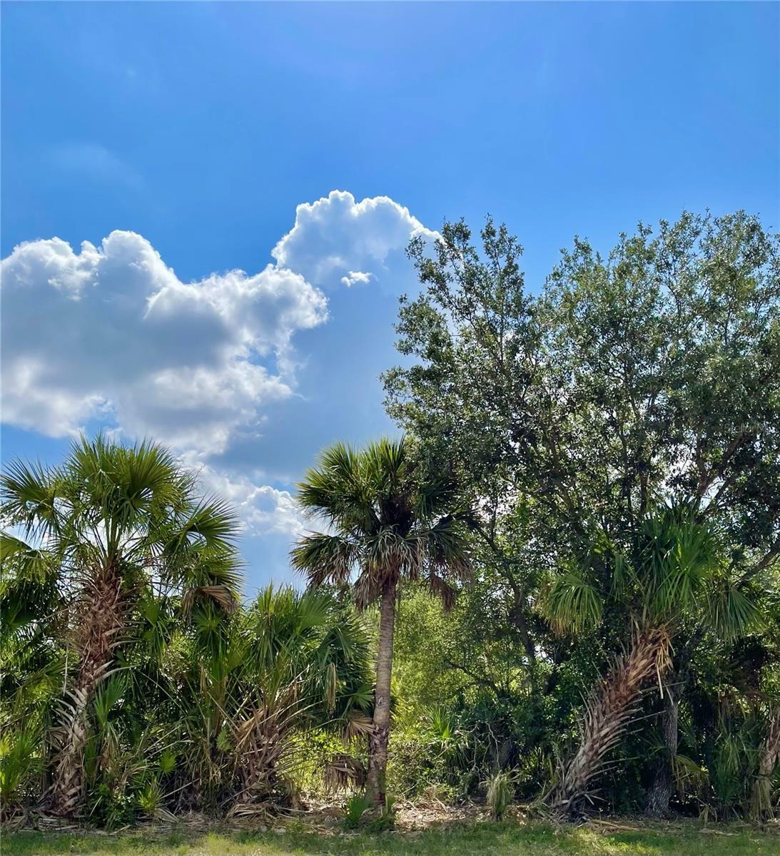 Property Photo: 414 Ravenswood Boulevard FL 33954