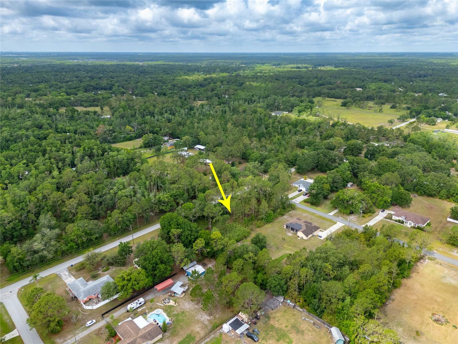Property Photo: Pine Lands Drive FL 33544